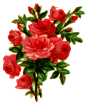 Image of roses.gif